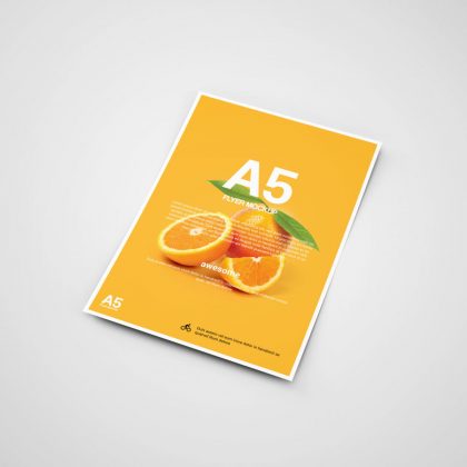 volantini-flyer-24H